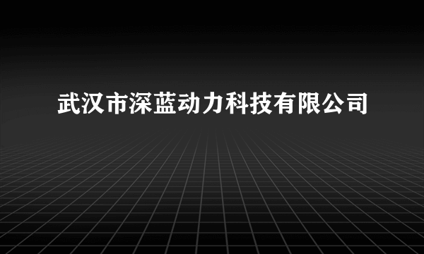 武汉市深蓝动力科技有限公司