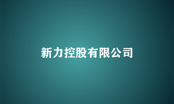 新力控股有限公司