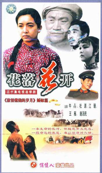 花落花开（马鲁剑执导电视剧）
