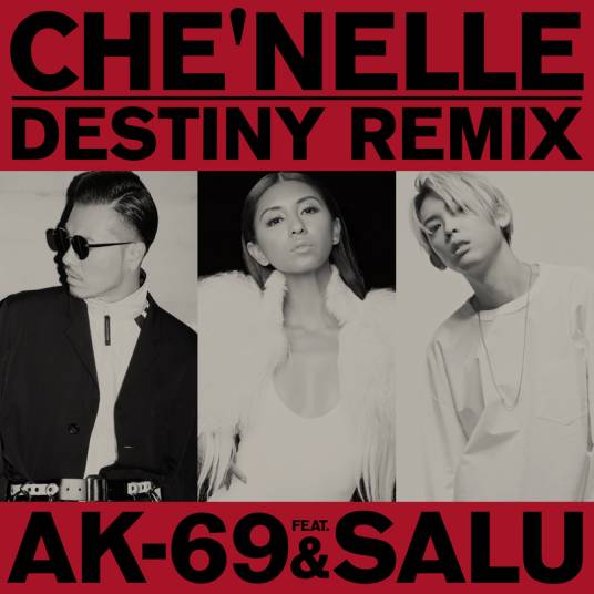 Destiny（Che'Nelle演唱歌曲）