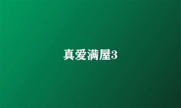 真爱满屋3