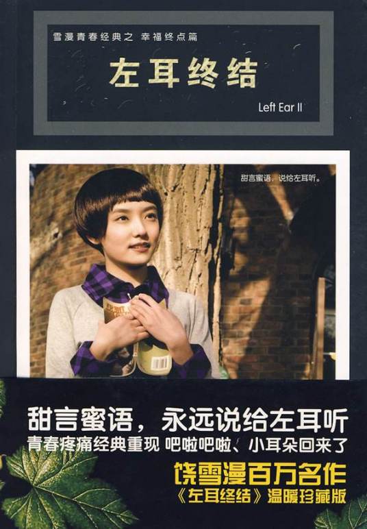 左耳终结（2015年译林出版社出版的图书）