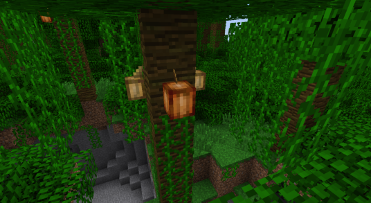 可可果（minecraft中的方块）