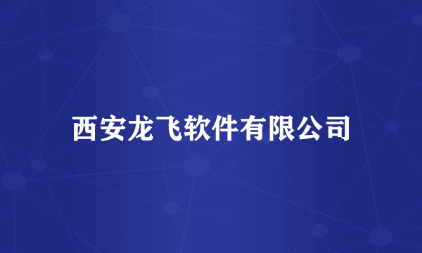 西安龙飞软件有限公司