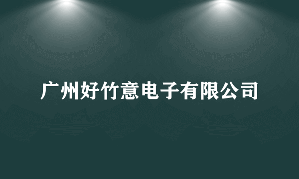 广州好竹意电子有限公司