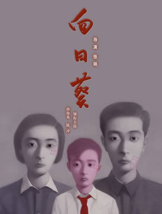 向日葵（2005年孙海英、陈冲主演电影）