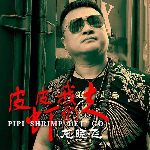 皮皮虾我们走（龙晓飞演唱歌曲）
