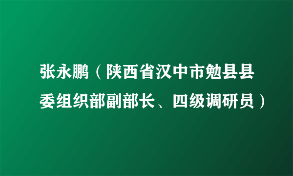 张永鹏（陕西省汉中市勉县县委组织部副部长、四级调研员）