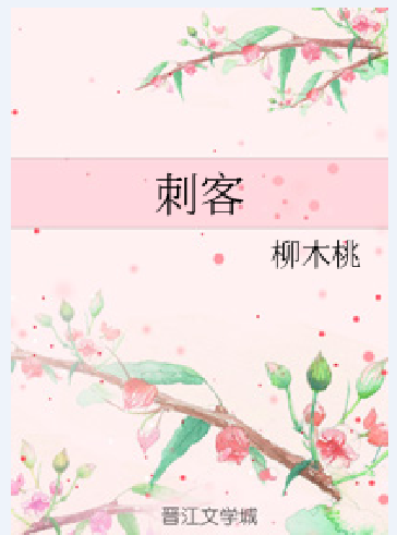 刺客（柳木桃创作的网络小说）