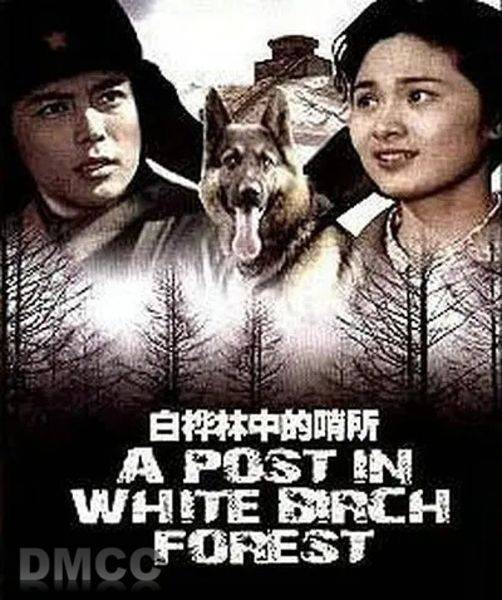 白桦林中的哨所