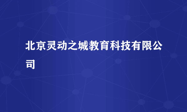 北京灵动之城教育科技有限公司