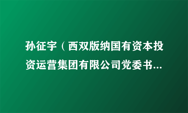 孙征宇（西双版纳国有资本投资运营集团有限公司党委书记、董事长）