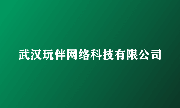 武汉玩伴网络科技有限公司