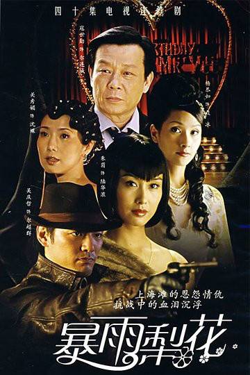 暴雨梨花（2006年王晶执导电视剧）