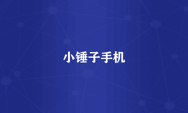 小锤子手机