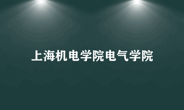 上海机电学院电气学院