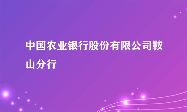 中国农业银行股份有限公司鞍山分行