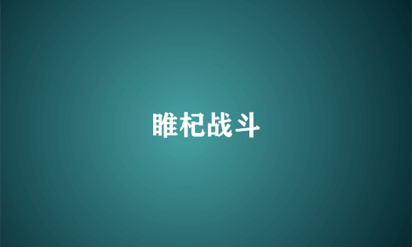 睢杞战斗
