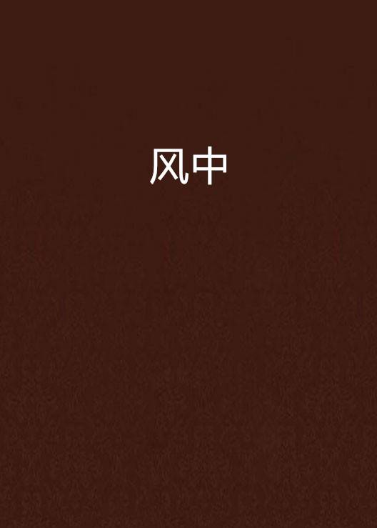 风中（零点计划所著小说）