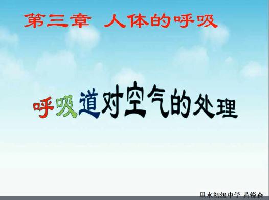 呼吸道对空气的处理