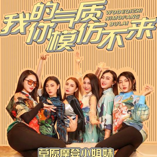 我的气质你模仿不来