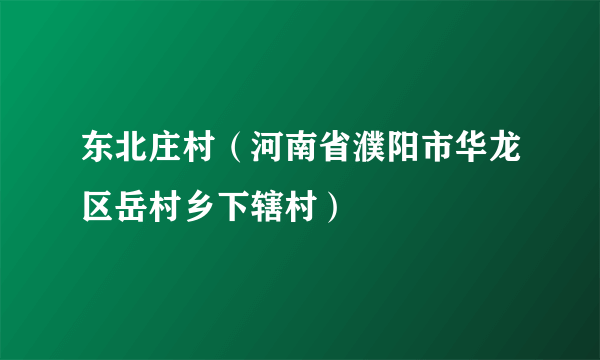 东北庄村（河南省濮阳市华龙区岳村乡下辖村）