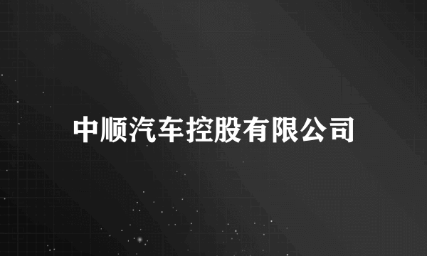 中顺汽车控股有限公司