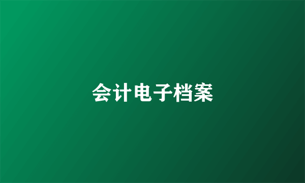 会计电子档案