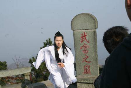 功夫世家（2013年解福印执导的电影）