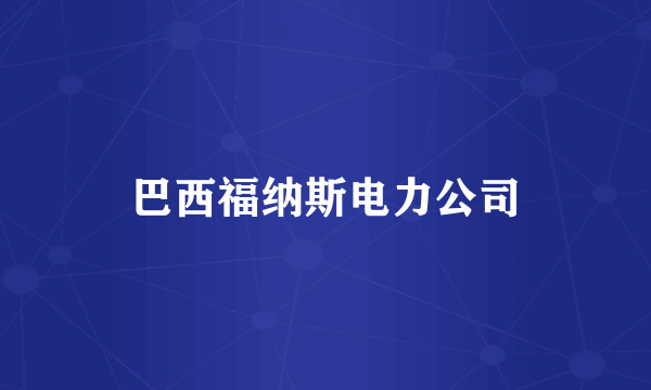 巴西福纳斯电力公司