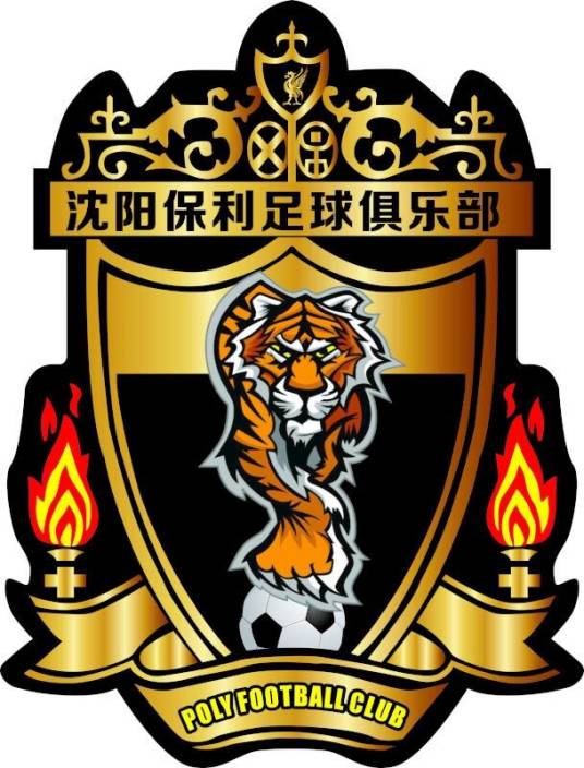沈阳保利足球俱乐部