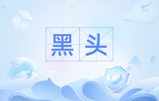 黑头（汉语词汇）