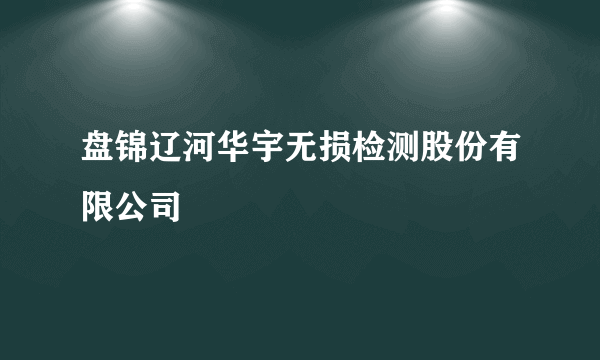盘锦辽河华宇无损检测股份有限公司
