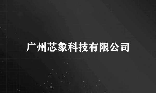 广州芯象科技有限公司