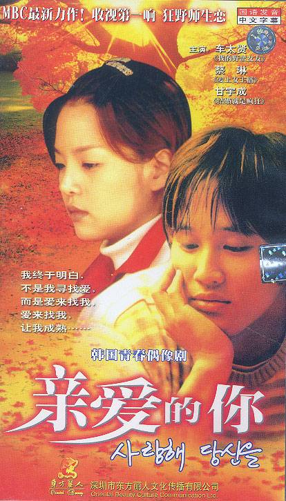 亲爱的你（1999年李振石执导的电视剧）
