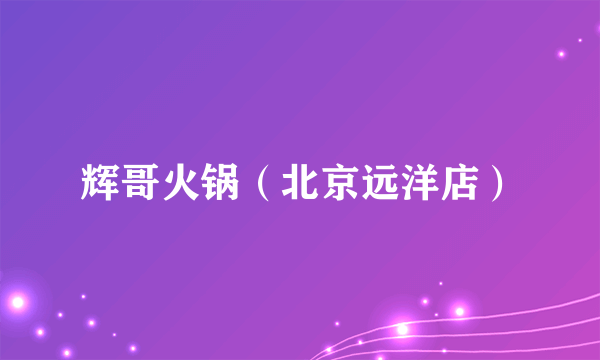 辉哥火锅（北京远洋店）