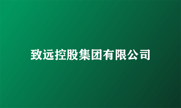致远控股集团有限公司