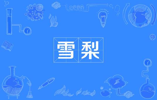 雪梨（汉语词语）
