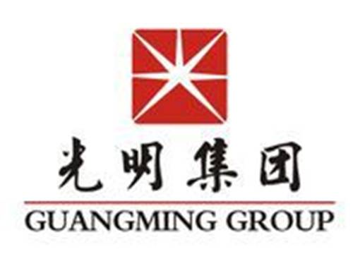 光明集团股份有限公司
