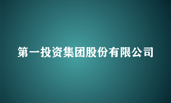 第一投资集团股份有限公司