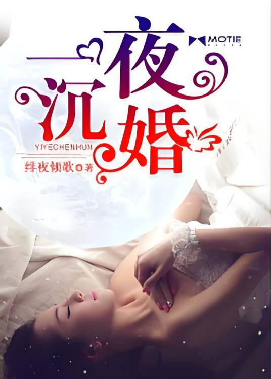 一夜沉婚（绯夜倾歌创作的网络小说）