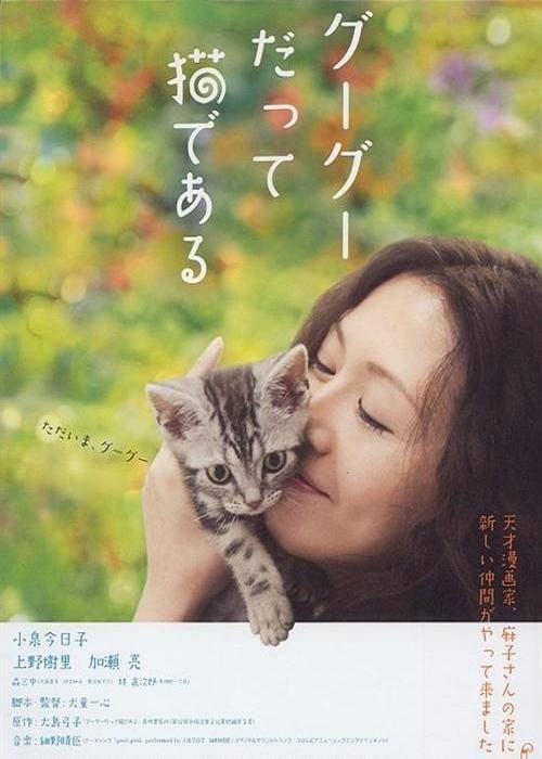 咕咕是一只猫（2008年小泉今日子主演的日本电影）