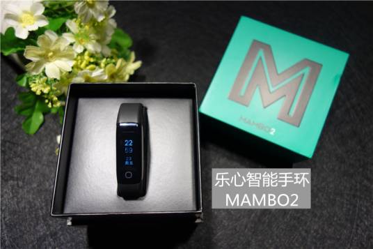 乐心手环MAMBO2