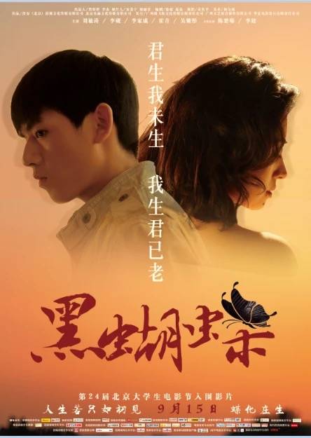 黑蝴蝶（2018年安战军执导的电影）