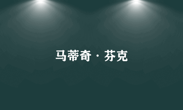 马蒂奇·芬克