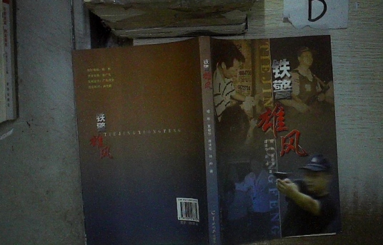 铁警雄风（2010年羊城晚报出版社出版的图书）