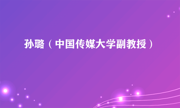 孙璐（中国传媒大学副教授）