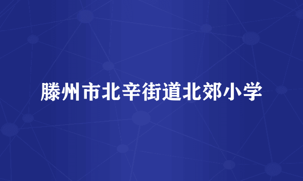 滕州市北辛街道北郊小学