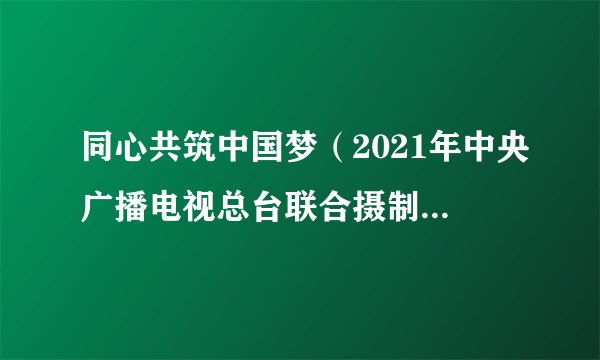 同心共筑中国梦（2021年中央广播电视总台联合摄制的电视专题片）