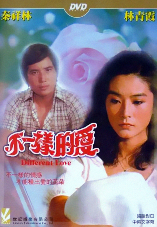 不一样的爱（文石麟执导的电影）